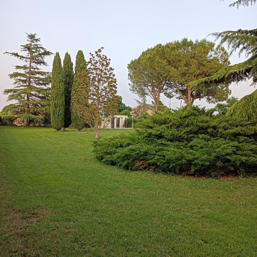 Casa Michelangelo Villa Morrovalle Eksteriør bilde